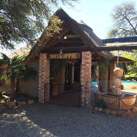 Boskoppie Lion & Tiger Reserve Kroonstad Buitenkant foto