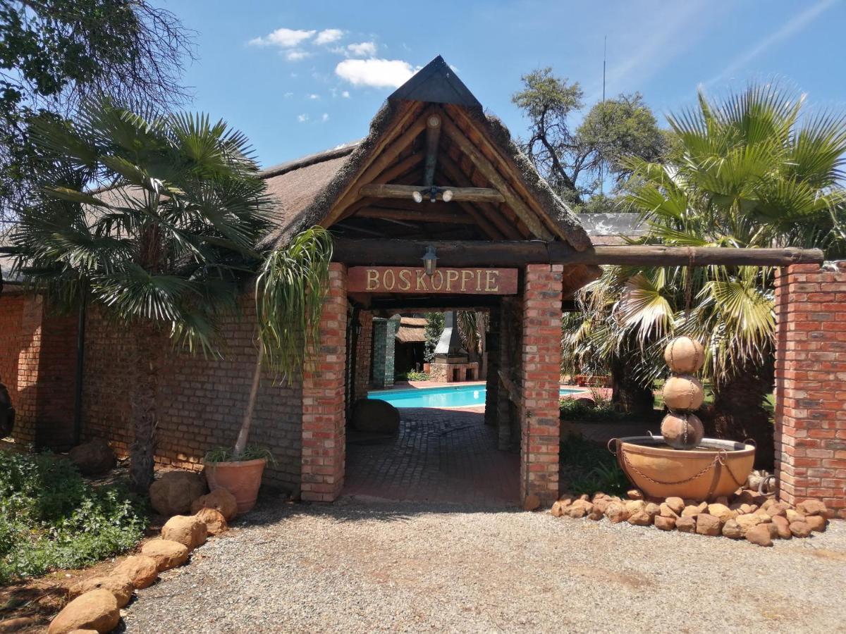 Boskoppie Lion & Tiger Reserve Kroonstad Buitenkant foto