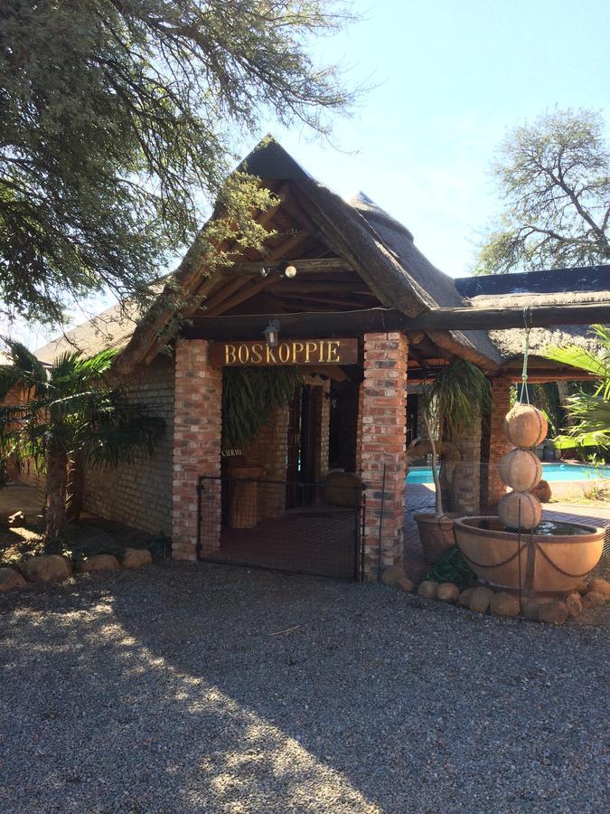 Boskoppie Lion & Tiger Reserve Kroonstad Buitenkant foto